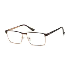 BrowlineBrown/Gold Eyeglasses