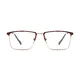 Rectangle Brown/Gold Eyeglasses