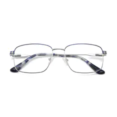 Square Tortoiseshell/Blue Eyeglasses