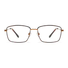 Rectangle Brown/Gold Eyeglasses