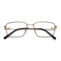 Rectangle Brown/Gold Eyeglasses