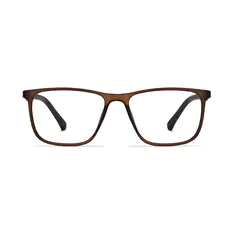 Rectangle Brown/Black Eyeglasses