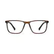 Rectangle Brown/Black Eyeglasses