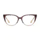 Oval Transparent Brown Eyeglasses