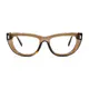 Oval Transparent Brown Eyeglasses