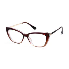Square Brown Eyeglasses