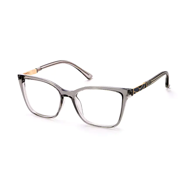 Rectangle Transparent Gray Eyeglasses