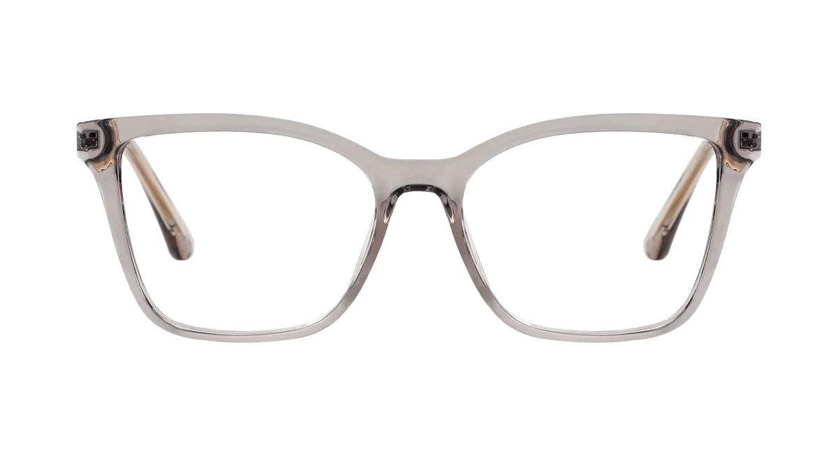 Rectangle Transparent Gray Eyeglasses
