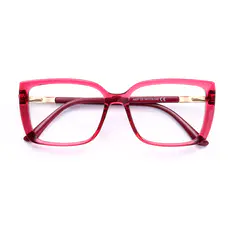 Rectangle Transparent Red Eyeglasses