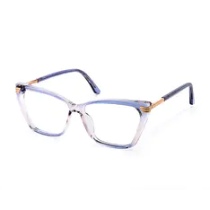 Geometric Transparent Blue Eyeglasses