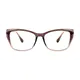 Square Transparent BrownEyeglasses