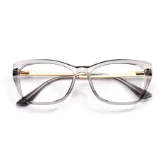 Square Transparent Gray Eyeglasses