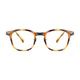 Square Tortoiseshell Eyeglasses