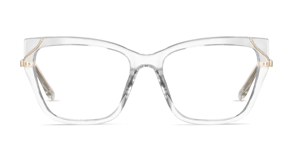 Rectangle Clear Eyeglasses