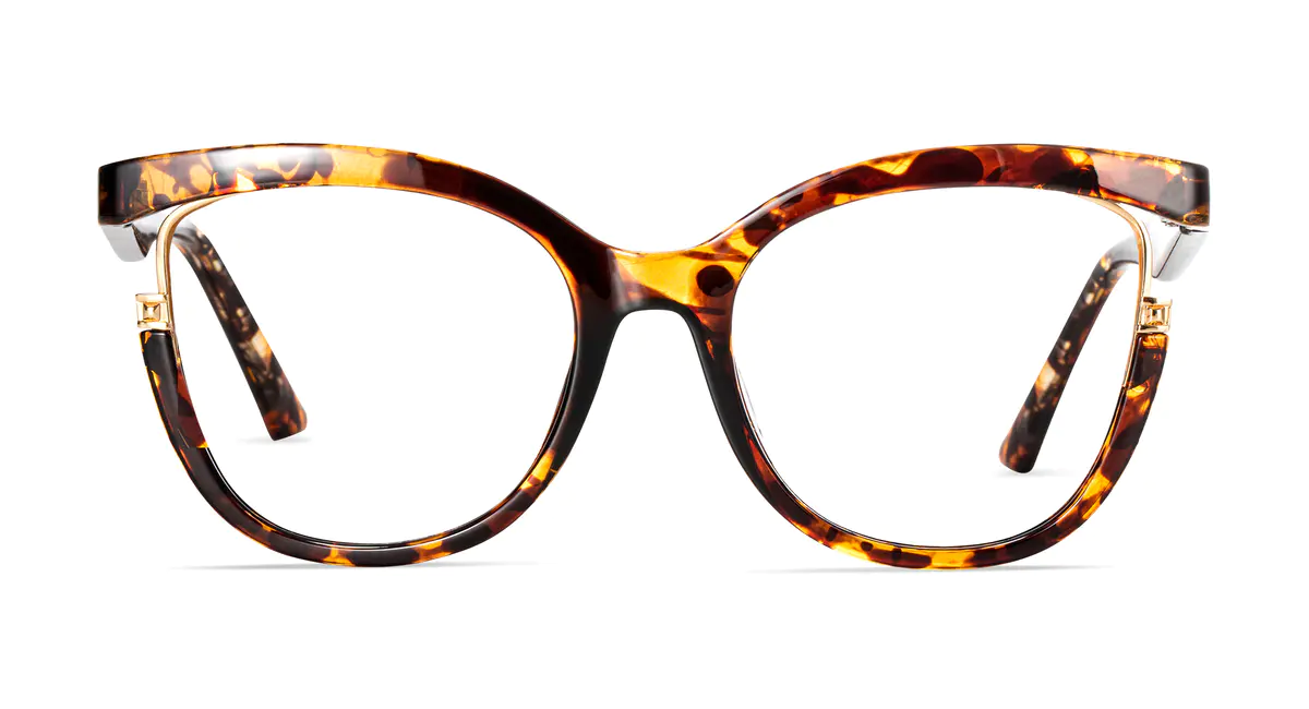 Oval Tortoiseshell Eyeglasses