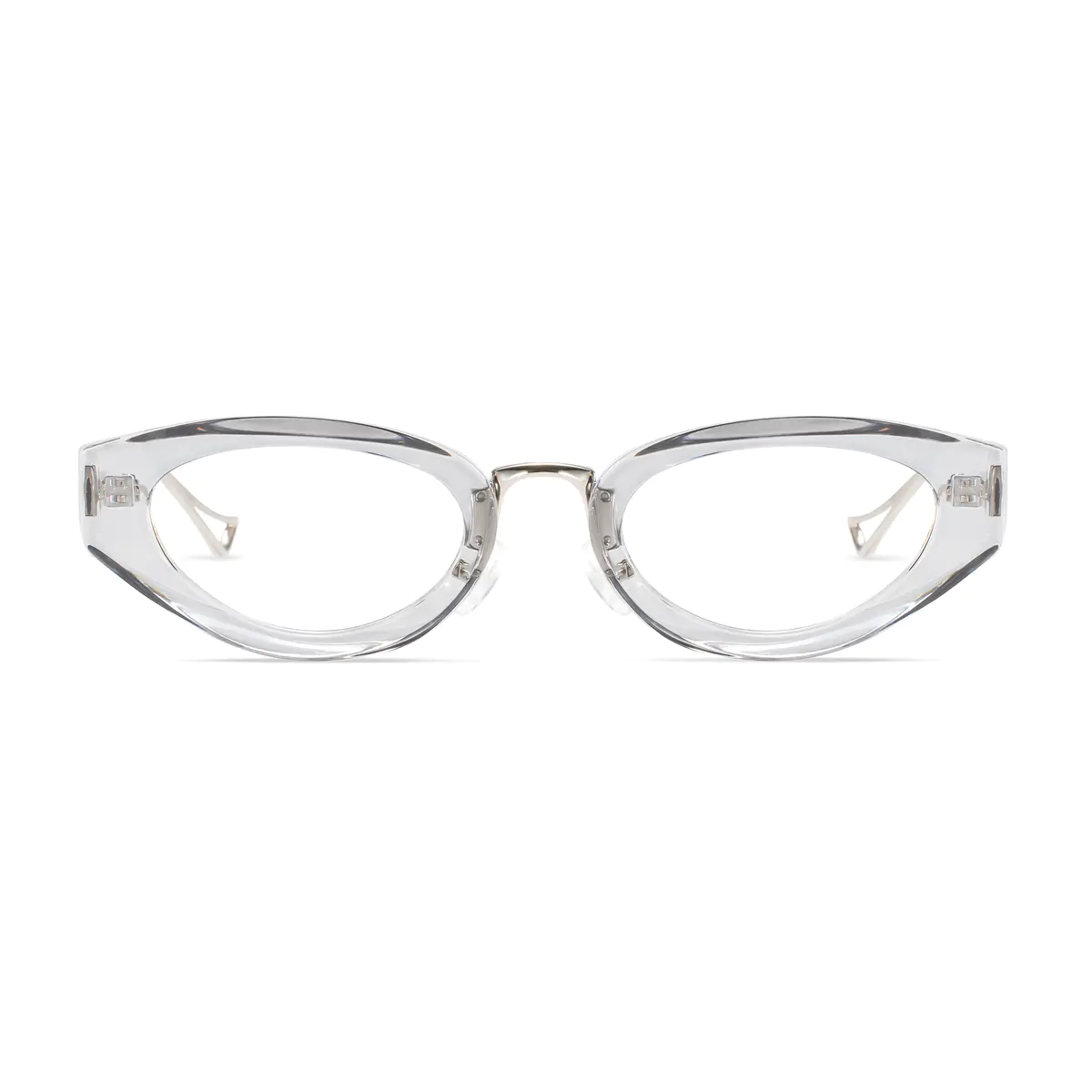 Rectangle Transparent Gray Eyeglasses