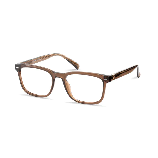 Square Brown Eyeglasses