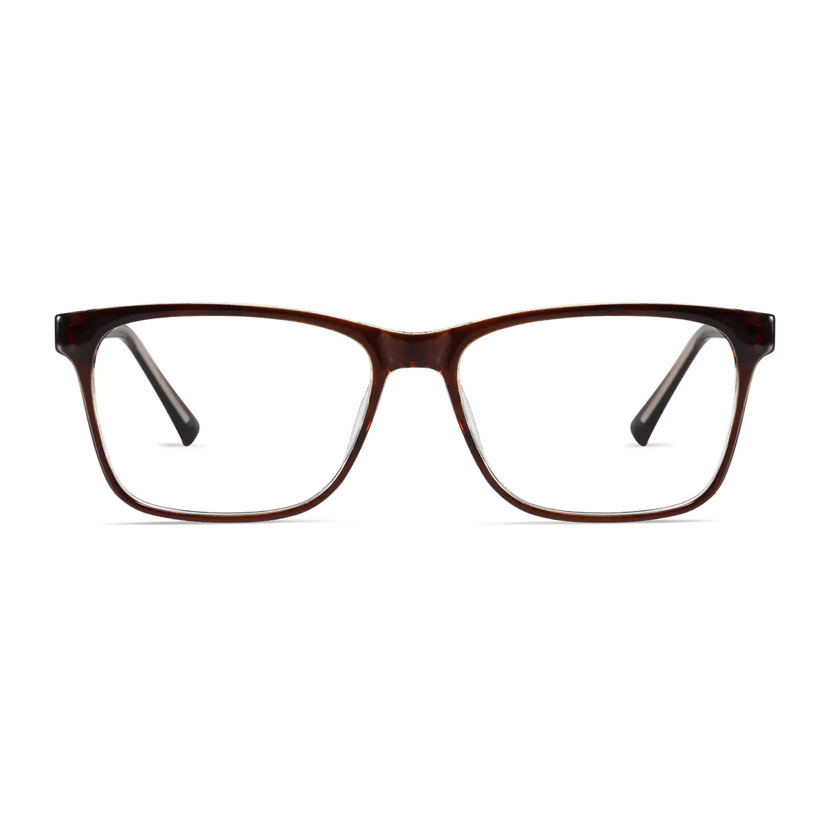 Rectangle Transparent Brown Eyeglasses