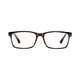 Rectangle Brown Eyeglasses