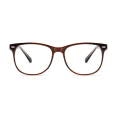 Oval Brown Eyeglasses