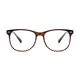 Oval Brown Eyeglasses