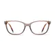 Rectangle Transparent Brown Eyeglasses