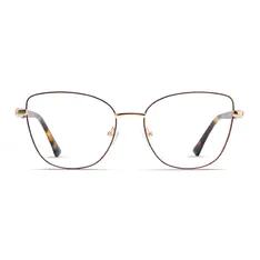 Cat-eye Brown/Gold Eyeglasses