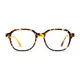 Oval Tortoiseshell Eyeglasses