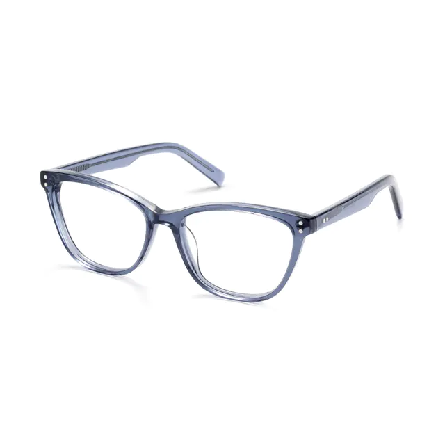 Cat-eye Transparent Blue Eyeglasses