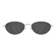 Oval Silver Sunglasses