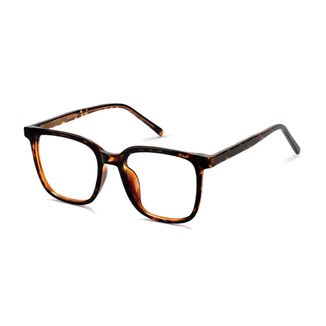 Square Tortoiseshell Eyeglasses