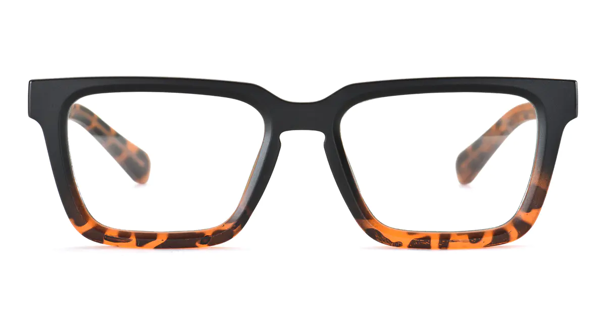 Square Black/Tortoiseshell Eyeglasses
