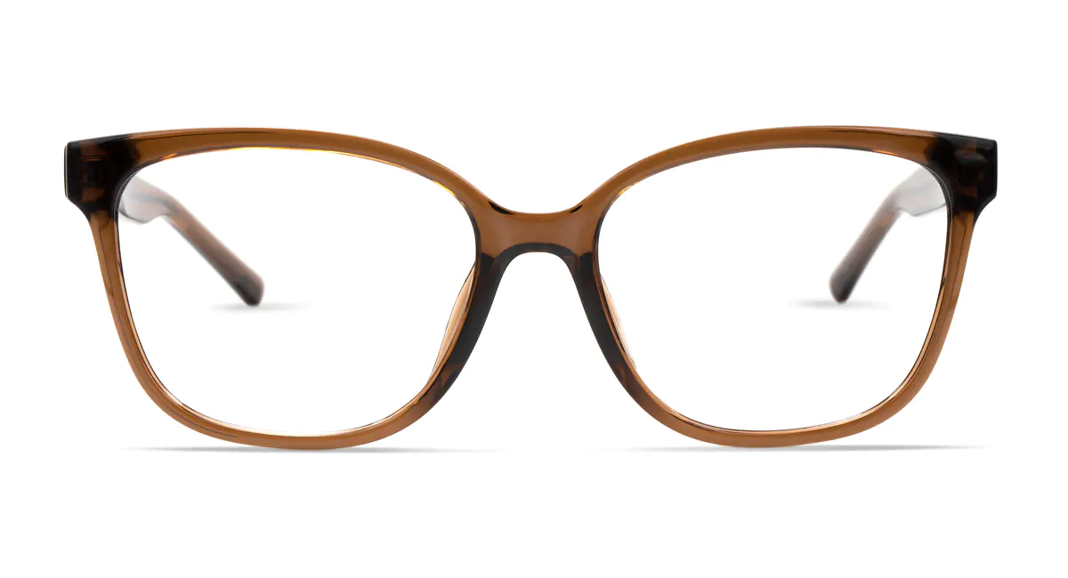 Square Transparent Brown Eyeglasses