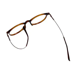 Round Transparent Brown Eyeglasses