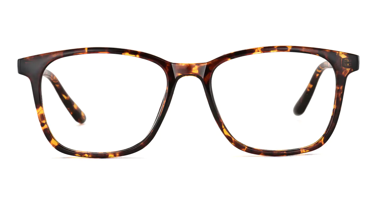 Rectangle Tortoiseshell Eyeglasses
