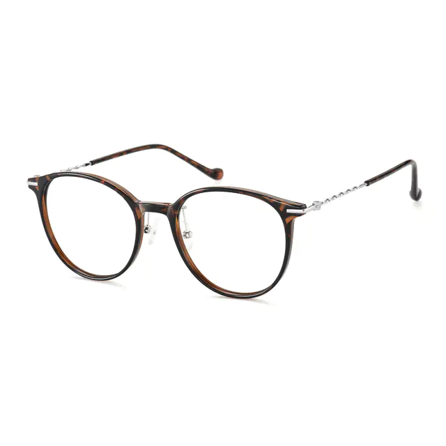 Round Tortoiseshell/Silver Eyeglasses