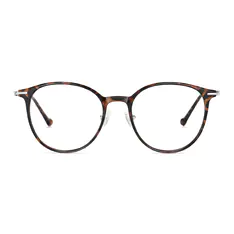 Round Tortoiseshell/Silver Eyeglasses