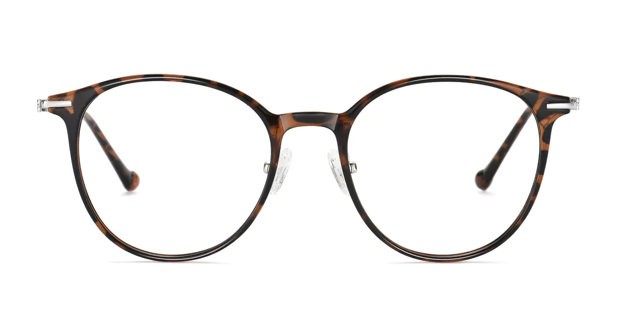 Round Tortoiseshell/Silver Eyeglasses