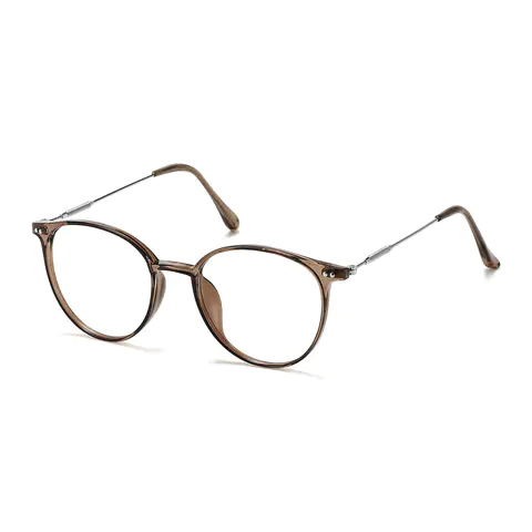 Round Transparent Brown Eyeglasses