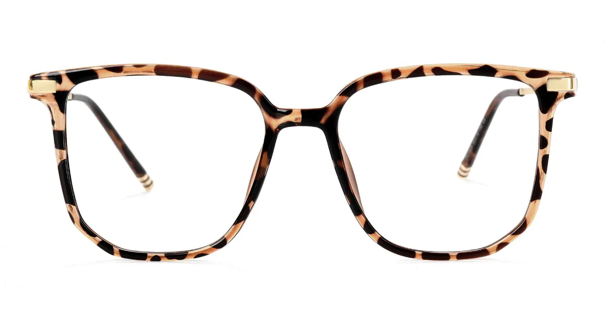 Square Tortoiseshell/Gold Eyeglasses