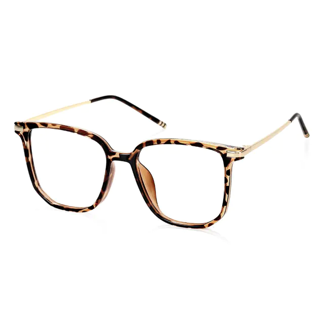 Square Tortoiseshell/Gold Eyeglasses