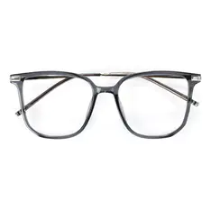 Square Transparent Gray/Silver Eyeglasses