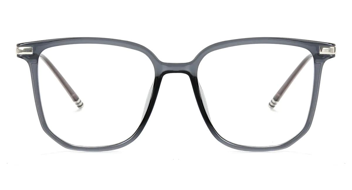 Square Transparent Gray/Silver Eyeglasses
