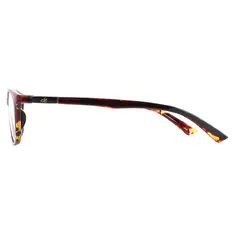 Oval Tortoiseshell Eyeglasses