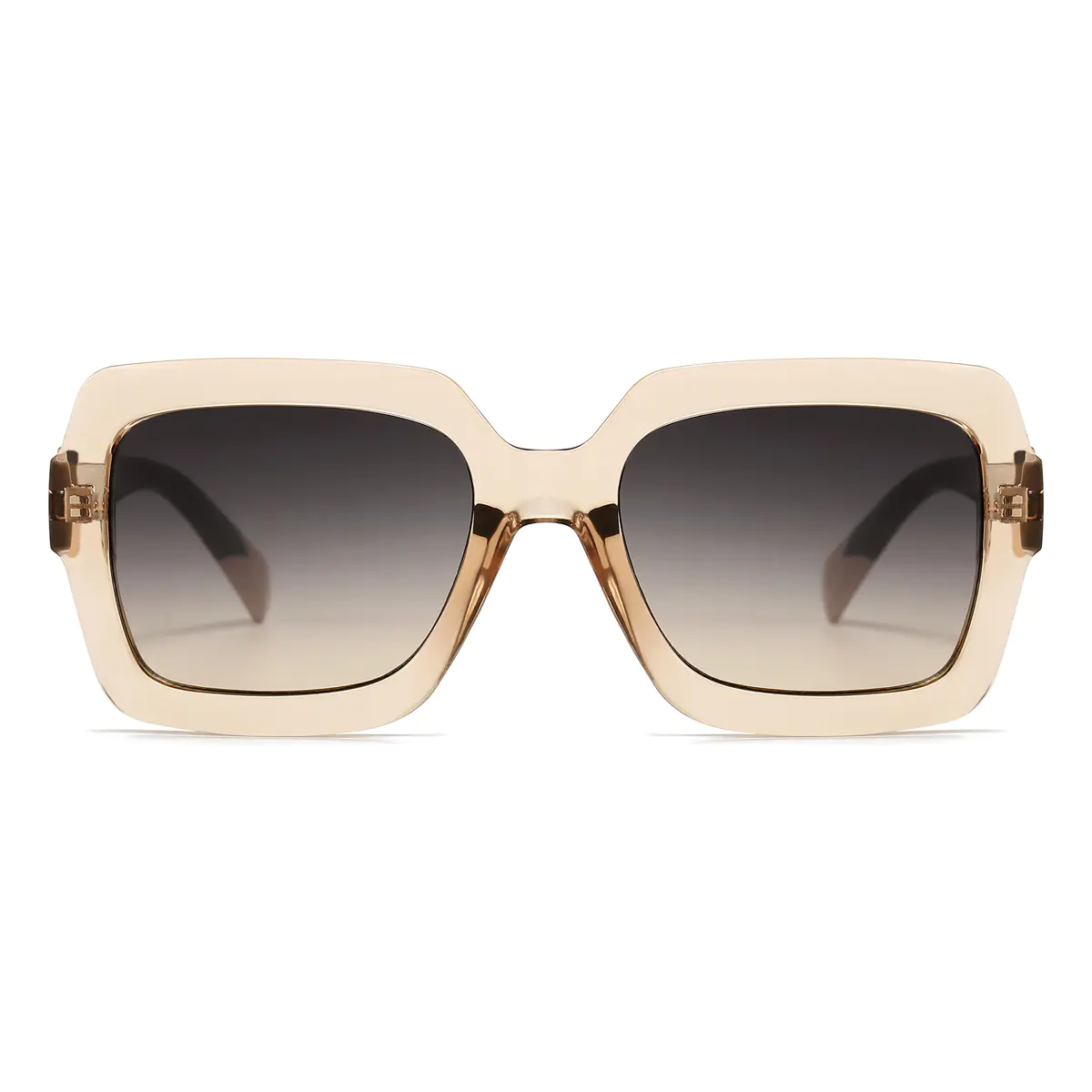 Rectangle Transparent Brown Sunglasses