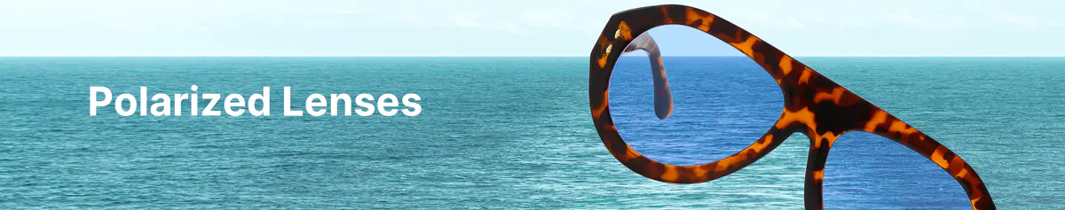 Polarized Lenses Glasses
