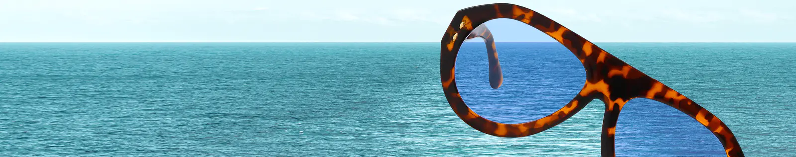Polarized Lenses Glasses & Anti-Glare Sunglasses